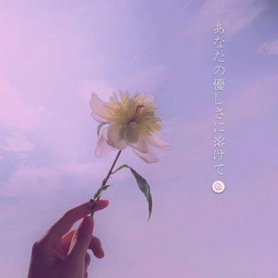 苏菲亚小公主去郊游